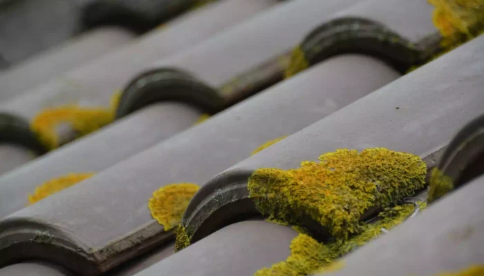 Réalisation d'un nettoyage de toiture par AbriteToit85 à Beaulieu-sous-la-Roche