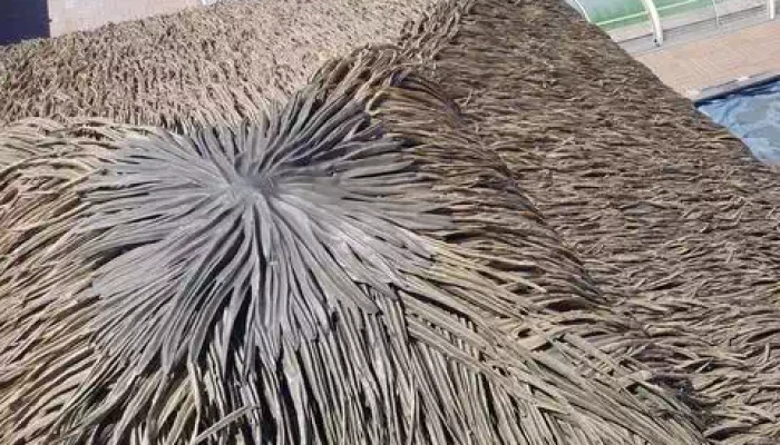 Réalisation d'une toiture tropicale par AbriteToit85 à Beaulieu-sous-la-Roche