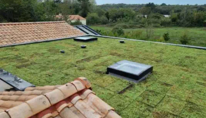 Réalisation d'une toiture végétale par AbriteToit85 à Beaulieu-sous-la-Roche