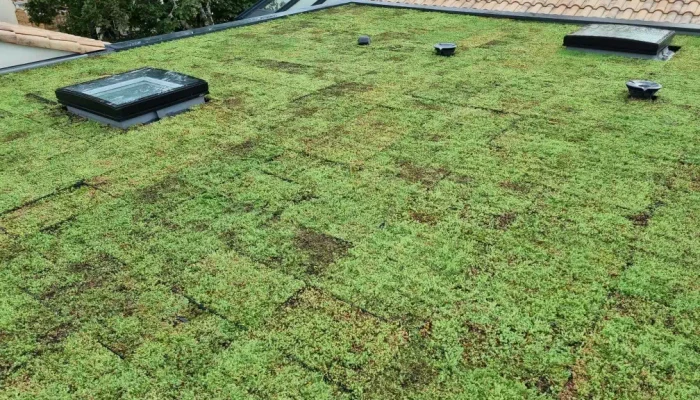 Réalisation d'une toiture végétale par AbriteToit85 à Beaulieu-sous-la-Roche